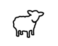 mouton-atlas mouton-atlas