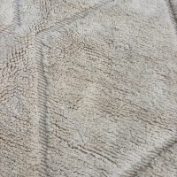 tapis modern pour salon