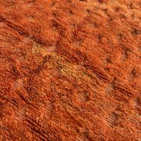 Limona- tapis berbere Orange Mrirt en laine - Image 6