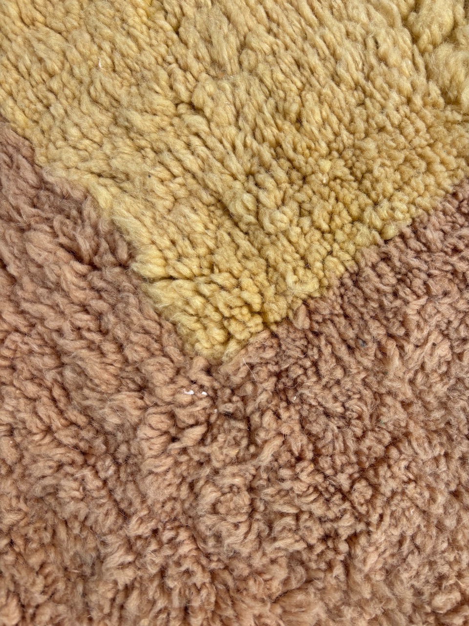 IMG_3730 - Les Losanges