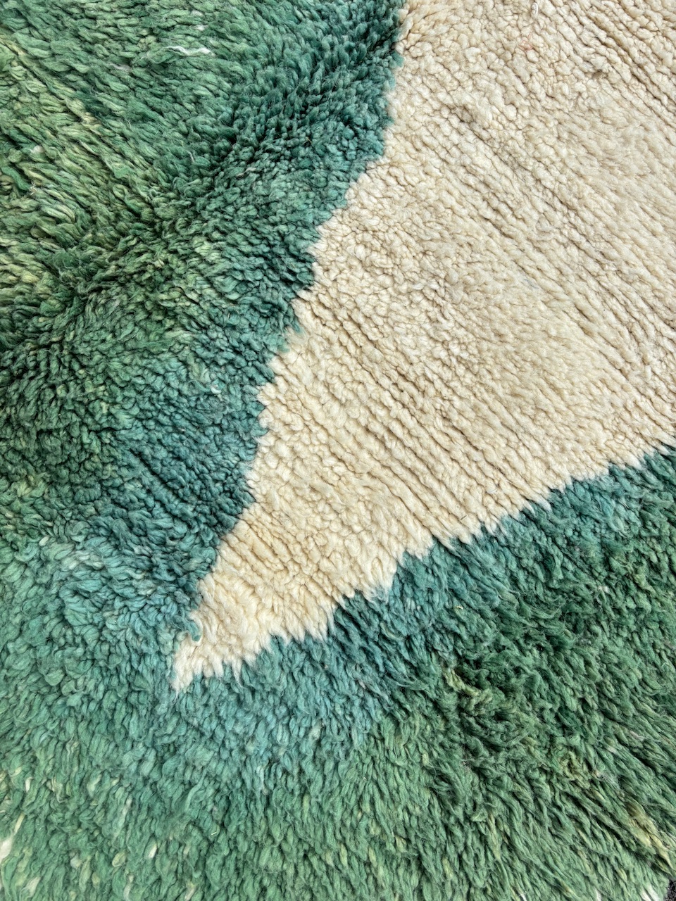 IMG_4894 - Les Losanges