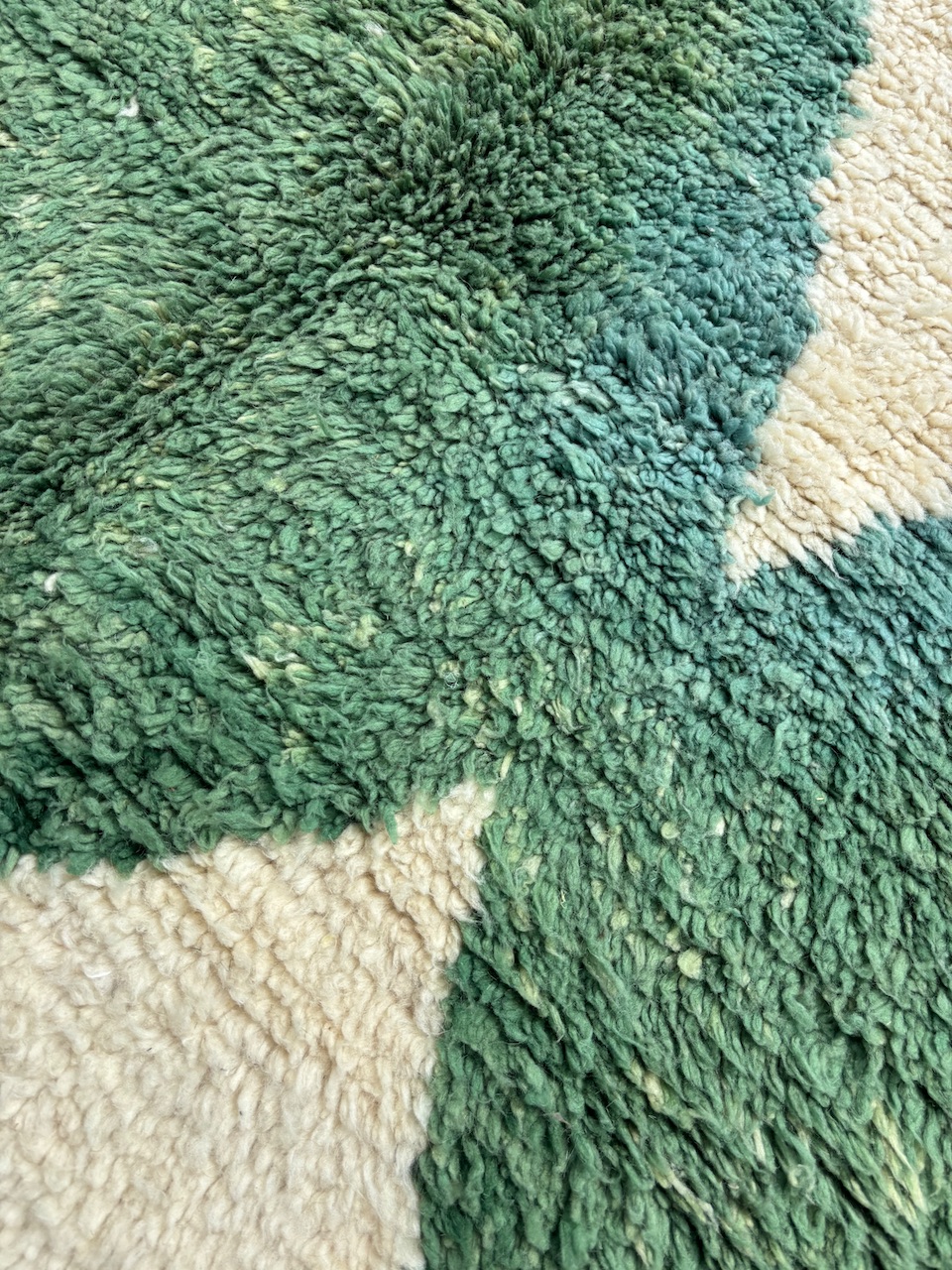 IMG_4896 - Les Losanges